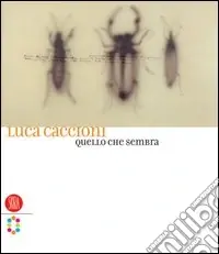 Luca Caccioni. Quello che sembra. Ediz. italiana e inglese Ultima Occasione
