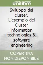 Sviluppo dei cluster. L‘esempio del Cluster information technologies & software engineering Vendita Finale