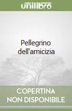 Pellegrino dell‘amicizia Professionale