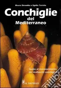 Conchiglie del Mediterraneo Compra Adesso