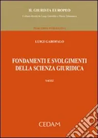 Nuovo Arrivo Fondamenti e svolgimenti della scienza giuridica. Saggi