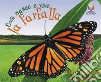 Così nasce e vive la farfalla Spedizione Espresso