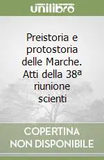Saldi Preistoria e protostoria delle Marche. Atti della 38ª riunione scienti