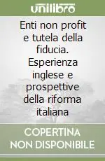 Professionale Enti non profit e tutela della fiducia. Esperienza inglese e prospettive della riforma italiana