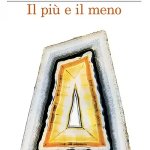 Il più e il meno Saldi