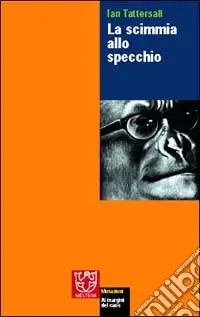A Buon Prezzo La scimmia allo specchio