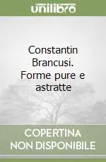 Constantin Brancusi. Forme pure e astratte Professionale