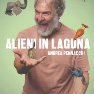 Alieni in laguna Offerta Del Giorno
