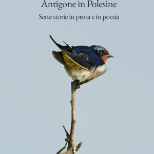 Promo Stagionale Antigone in Polesine. Sette storie in prosa e in poesia