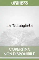Spedizione Espresso La ‘Ndrangheta