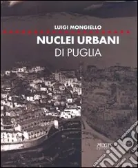 Nuclei urbani di Puglia. Analisi e rappresentazione degli articolati insediativi. Ediz. illustrata Prezzo Di Fabbrica