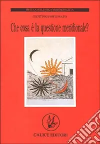 Vendita Finale Che cosa è la questione meridionale