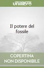 Pagamento Sicuro Il potere del fossile