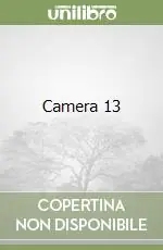 Professionale Camera 13
