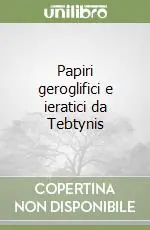 Saldi Papiri geroglifici e ieratici da Tebtynis