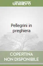 Consegna Rapida Pellegrini in preghiera