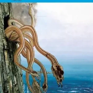 The odyssey. Plar4. Con e-book. Con espansione online. Con DVD-ROM Di Tendenza