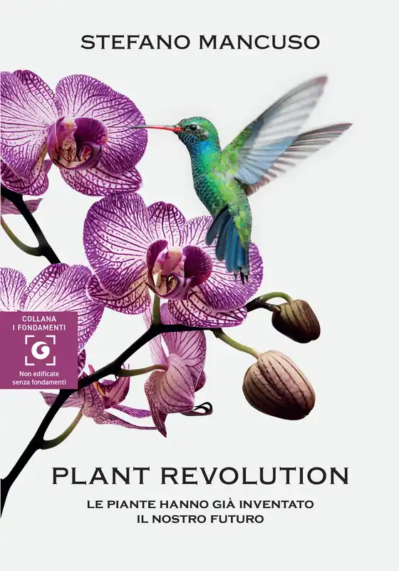 Plant revolution Le piante hanno già inventato il nostro futuro Ultimissimo Modello