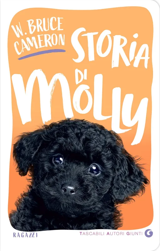 Storia di Molly Professionale