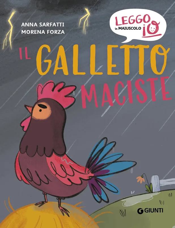 Il galletto Maciste Occasione Imperdibile