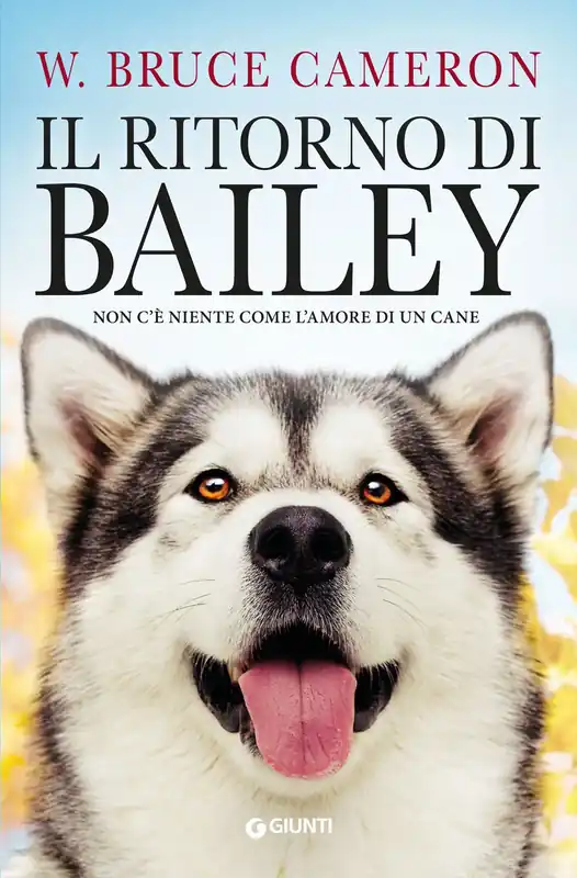 Il ritorno di Bailey Non Perdere