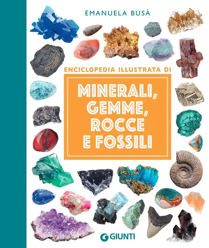 Economico Minerali, gemme, rocce e fossili