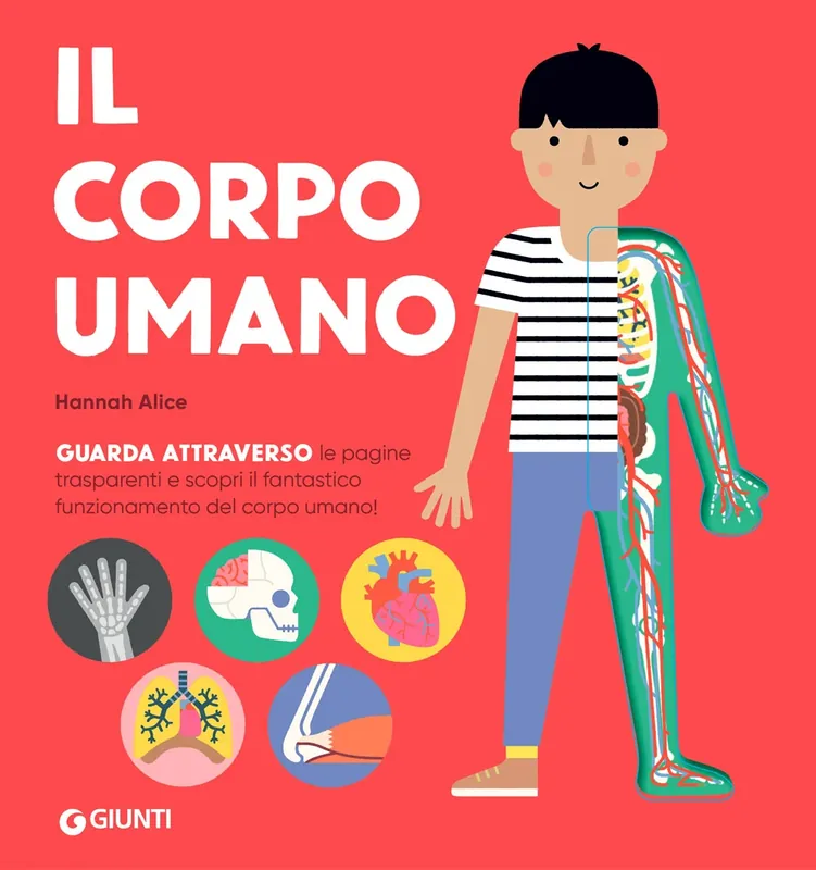 Subito Disponibile Il corpo umano Guarda attraverso le pagine trasparenti e scopri il fantastico funzionamento del corpo umano!