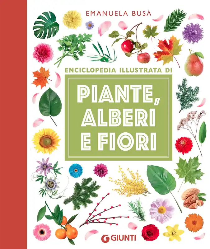 Reso Gratuito Piante, alberi e fiori