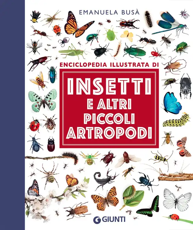 Insetti e altri piccoli artropodi Novità