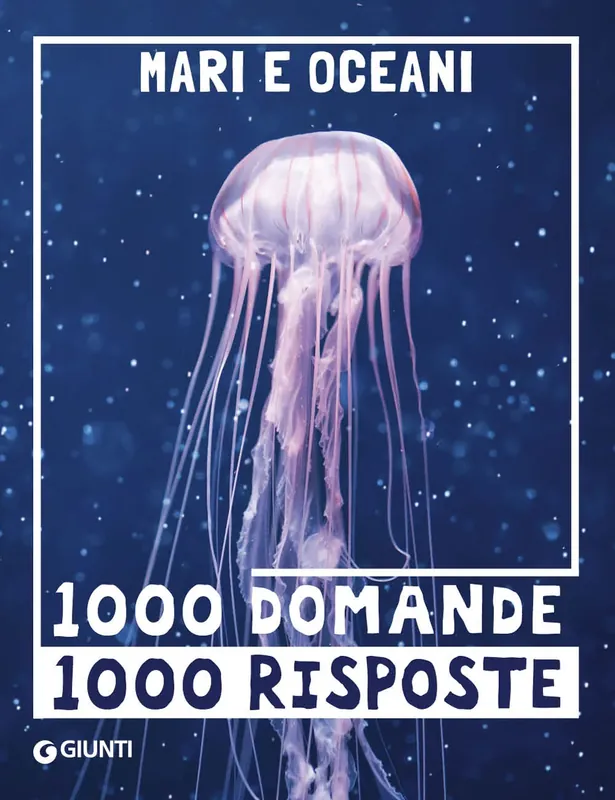Mari e oceani Prezzo Scontato