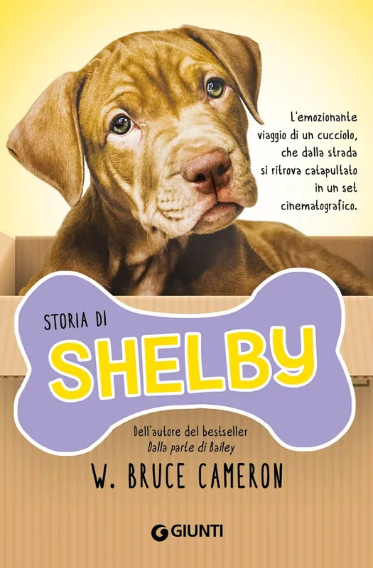 Storia di Shelby Prezzo Conveniente