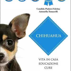 Scelto Dai Clienti Chihuahua Vita in casa - Educazione - Cure