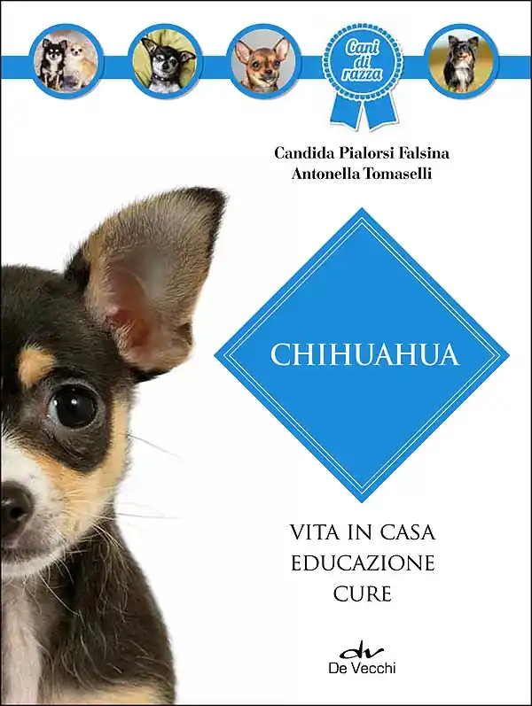 Scelto Dai Clienti Chihuahua Vita in casa - Educazione - Cure