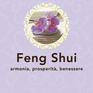 Feng Shui Armonia, prosperità, benessere Vendita Finale