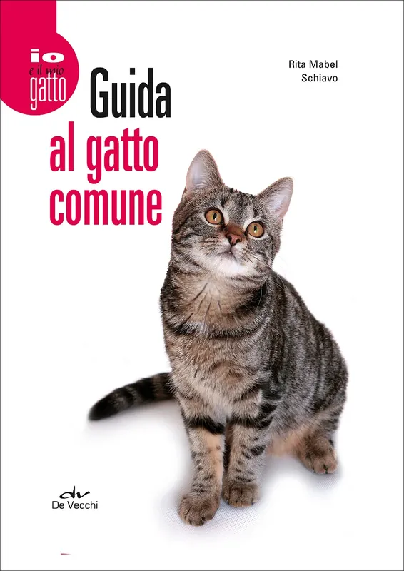 Promozione Esclusiva Guida al gatto comune