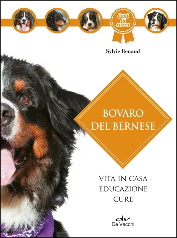 Bovaro del bernese Vita in casa - Educazione - Cure Super Prezzo