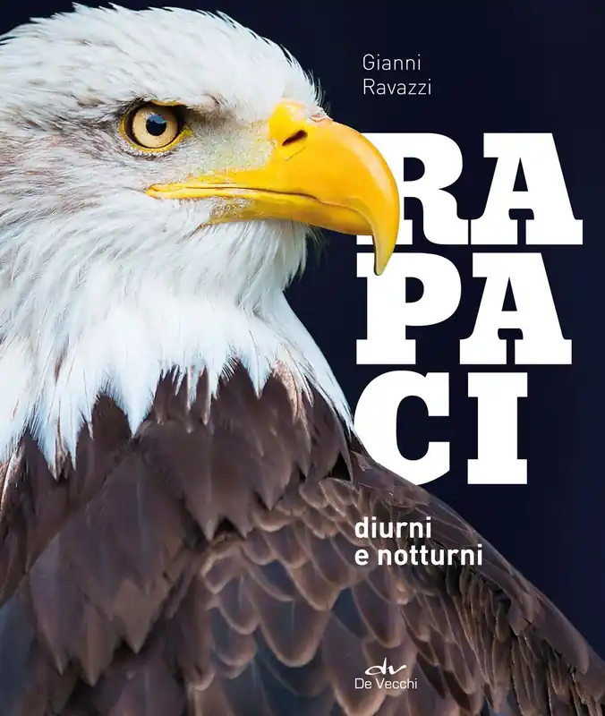 Prezzo Scontato Rapaci diurni e notturni