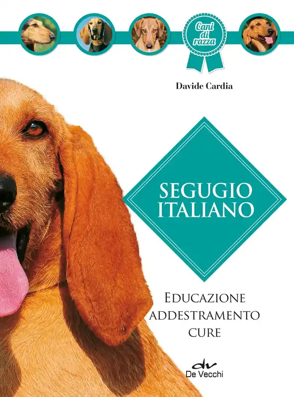 Offerta Lampo Segugio italiano