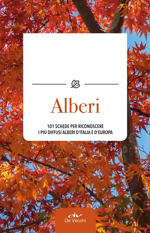 Offerta Lampo Alberi 101 schede per riconoscere i più diffusi alberi d‘Italia e d‘Europa