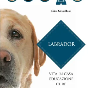 Soddisfatti O Rimborsati Labrador vita in casa educazione cure
