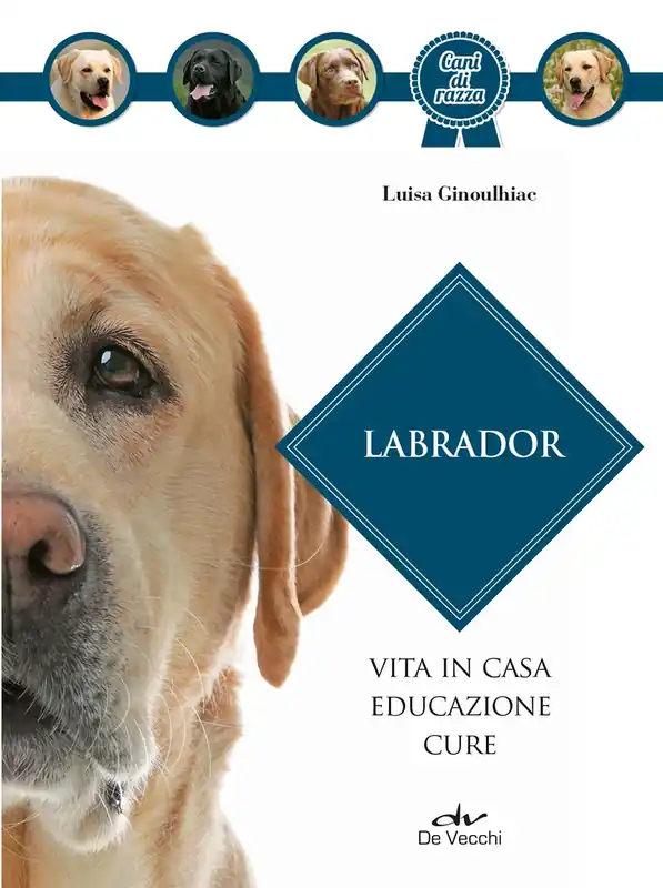 Soddisfatti O Rimborsati Labrador vita in casa educazione cure