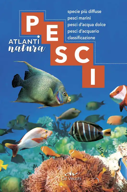 Offerta Del Giorno Pesci specie più diffuse, pesci marini, pesci d‘acqua dolce, pesci d‘acquario, classificazione