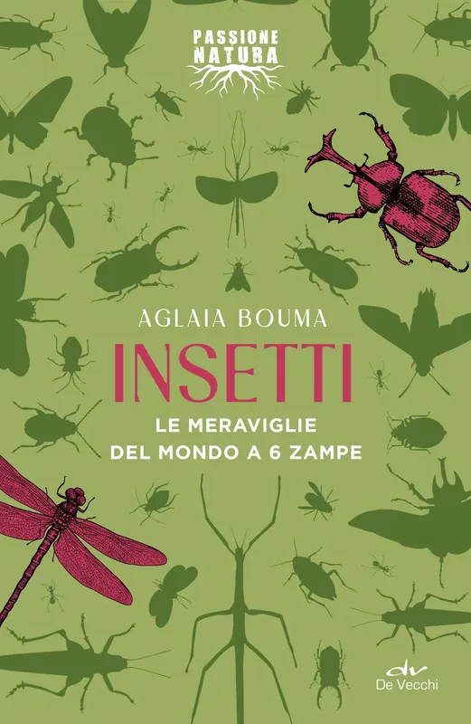 Insetti Le meraviglie del mondo a 6 zampe Promozione