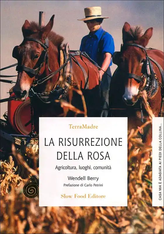 La risurrezione della rosa Agricoltura, luoghi, comunità Super Prezzo