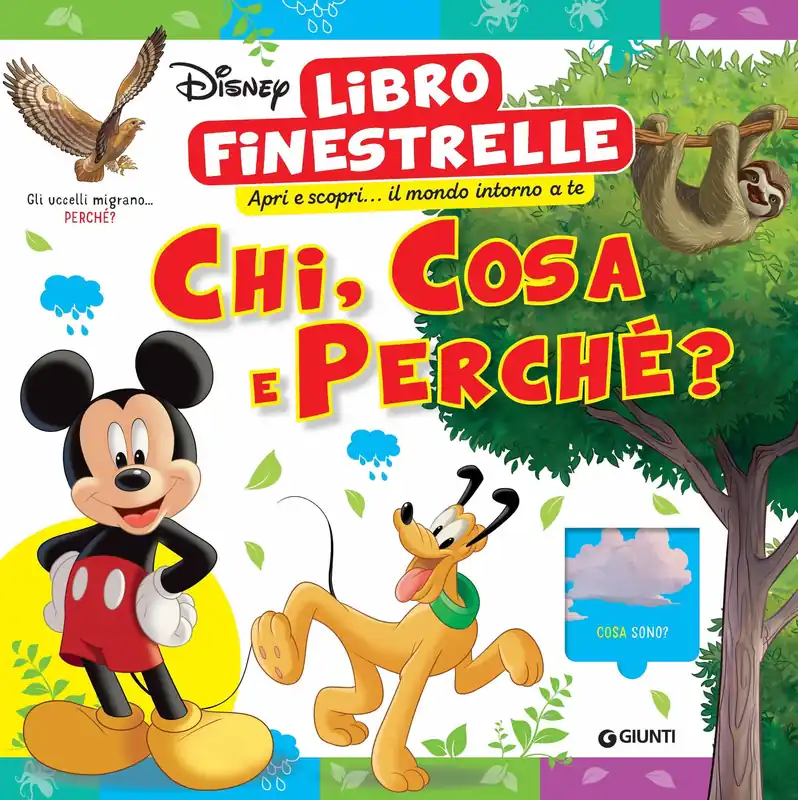 Vendita Finale Chi, cosa e Perché? Libro finestrelle Apri e scopri... il mondo intorno a te