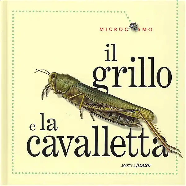 Il grillo e la cavalletta Prezzo Scontato