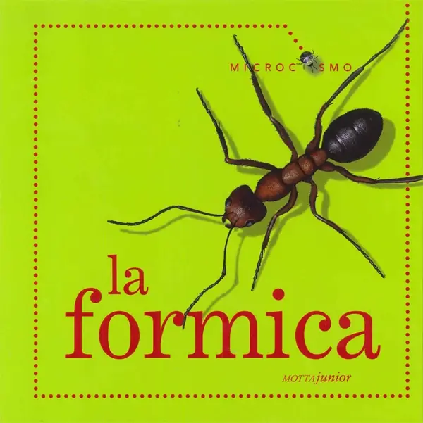 La formica Compra Oggi Stesso