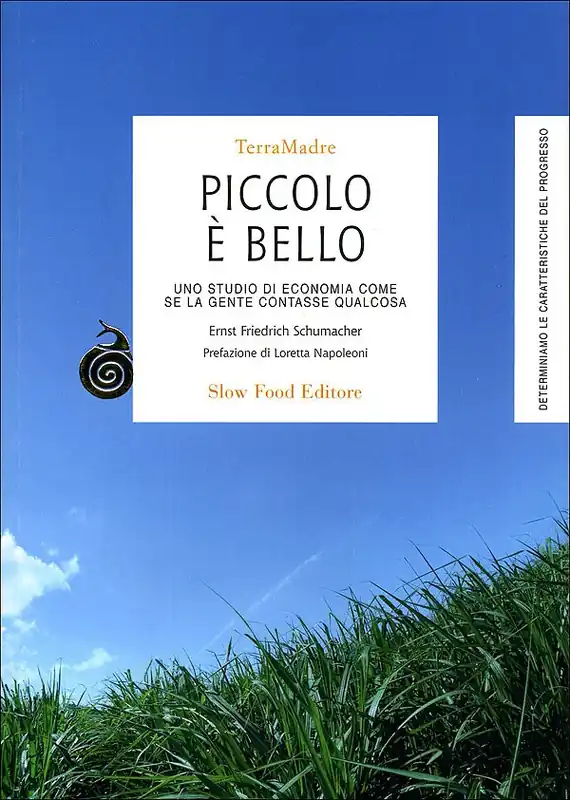 Piccolo è bello Uno studio di economia come se la gente contasse qualcosa Saldi