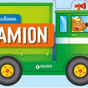Camion Economico