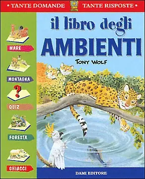 Il libro degli Ambienti Solo Oggi